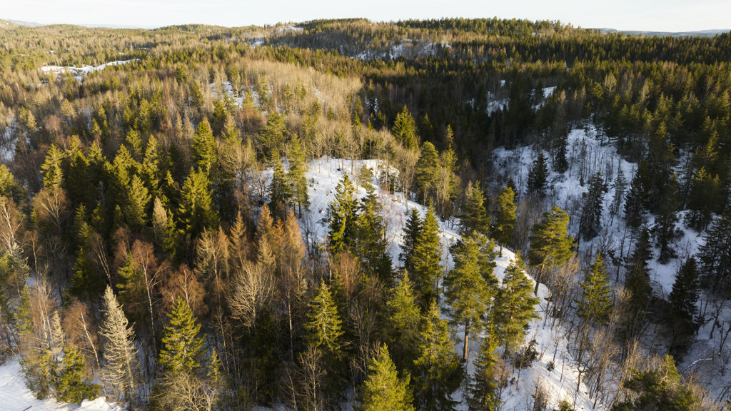 The snow-covered forest landscape in the area around one of the Speira aluminium plants in Norway.